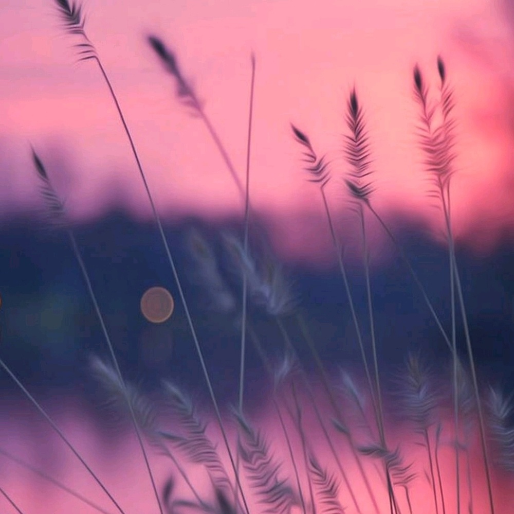 Meet your Posher, Zahira